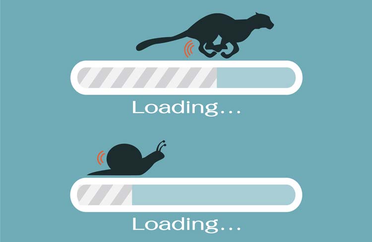 Velocidad de la Web