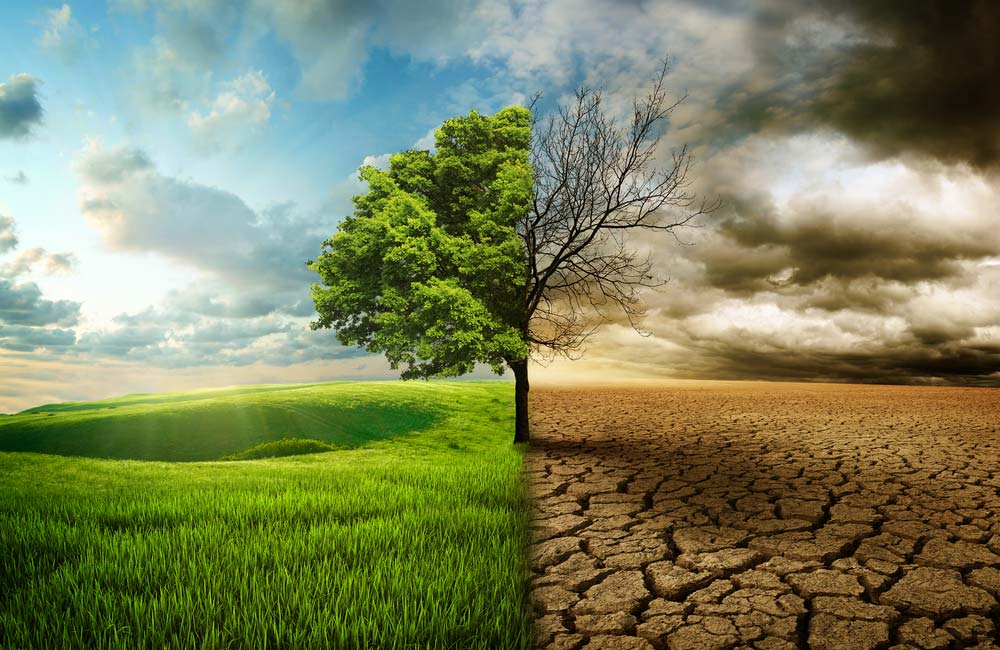 El cambio climático: Una mirada hacia el futuro y sus implicaciones en Europa y África El cambio climático: Una mirada hacia el futuro y sus implicaciones en Europa y África