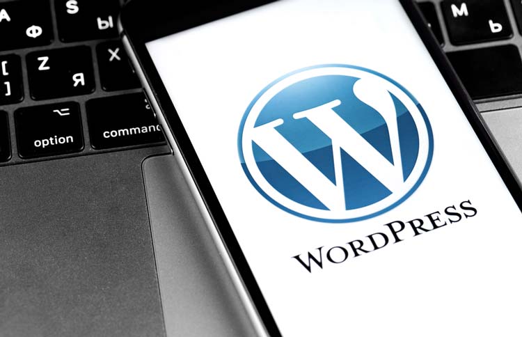 Web design WordPress
