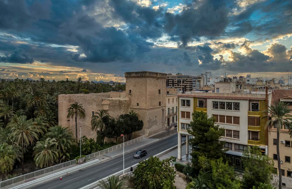 Aves Urbanas de Elche | Medio Ambiente