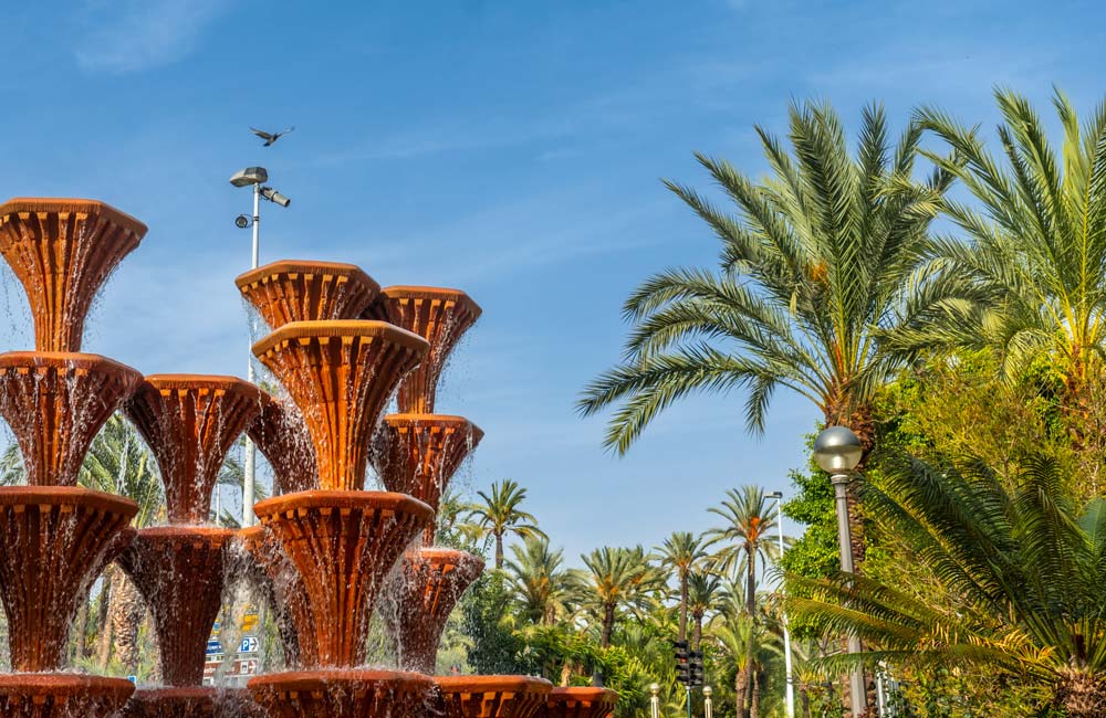 Palmeral de Elche: Cómo fue declarado Patrimonio de la Humanidad