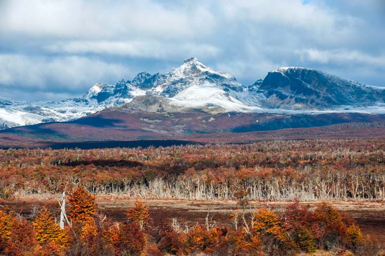 Cordillera Darwin, Tierra de Fuego