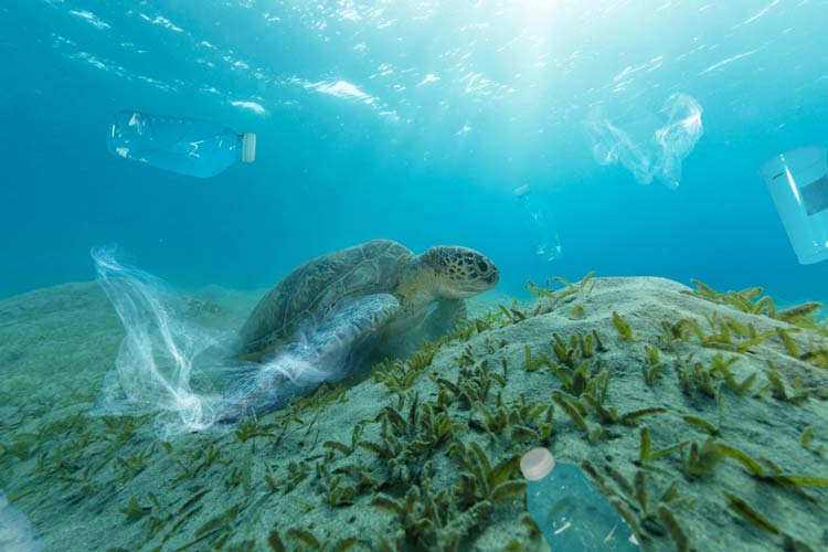 Contaminacion Mar Mediterraneo