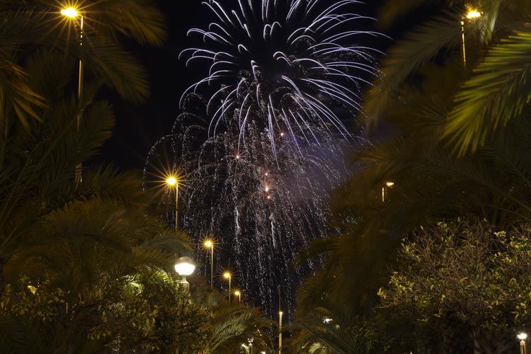 Nit de la Alba Elx