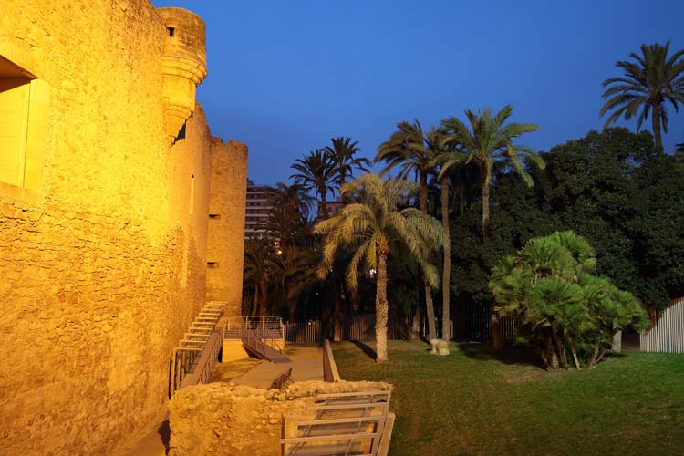 Nit de la Roa Fiestas de Elche