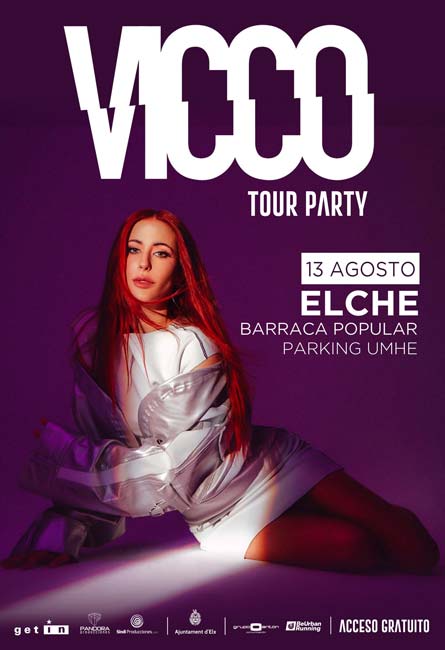 Nits de Festa Elx Vicco