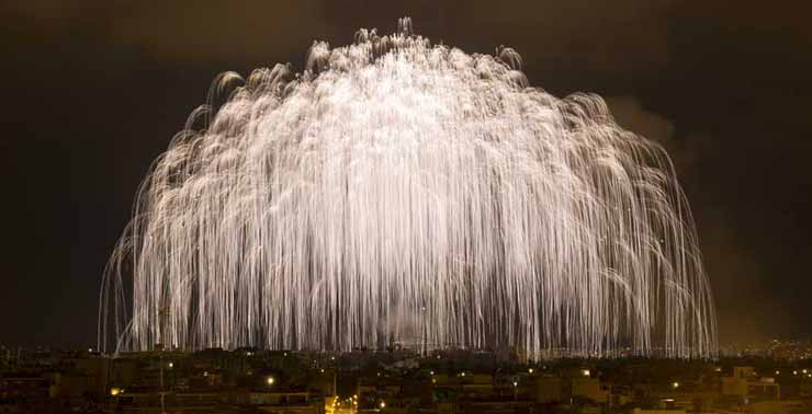 Palmera de la Virgen Nit de l´Albà Elche