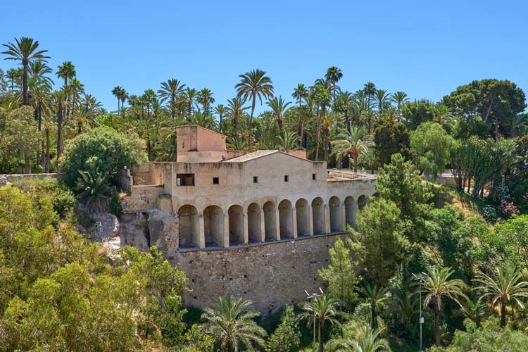 Acequia Mayor Palmeral Elche
