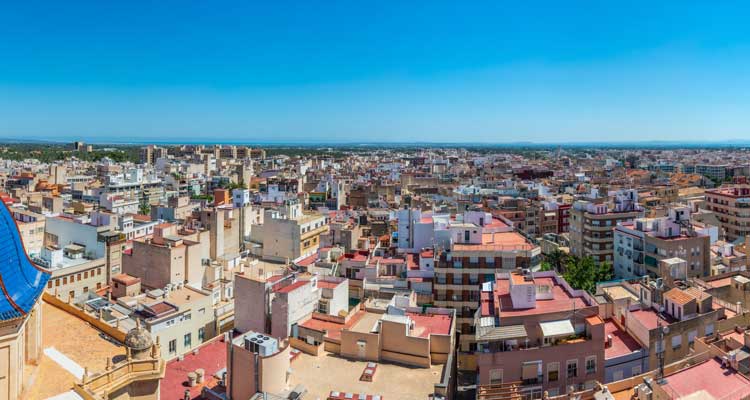 Elche en la actualidad