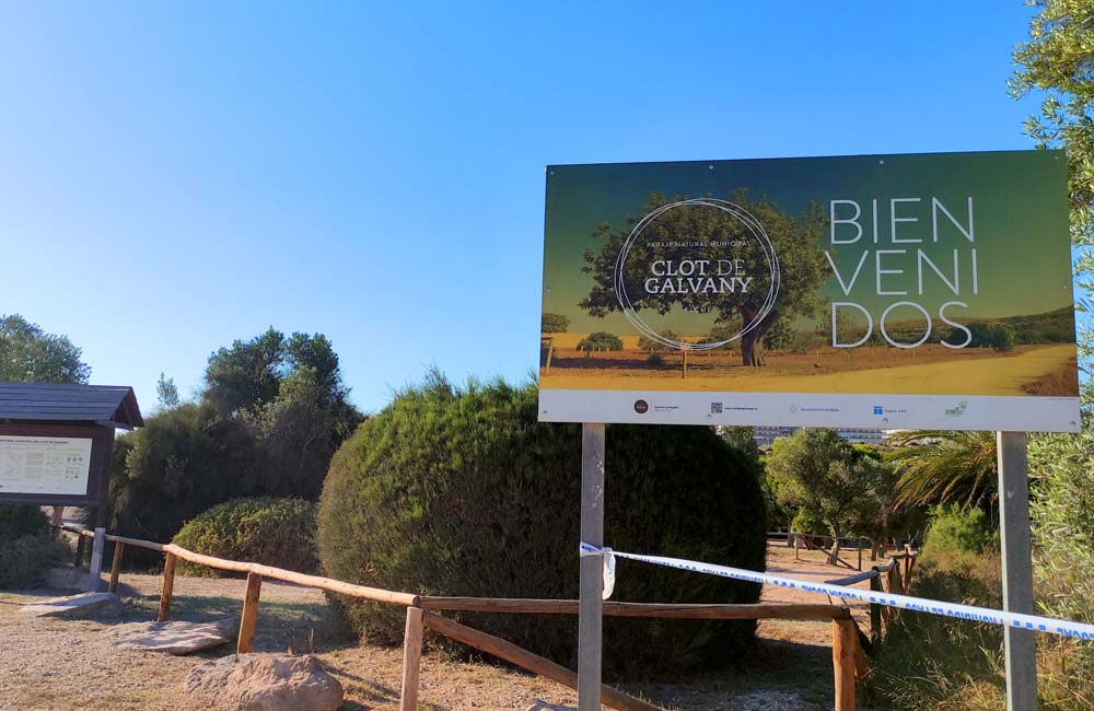 El Clot de Galvany | Paraje Natural Municipal de Elche