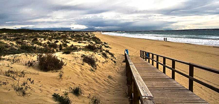 playa les pesqueres el rebollo elche