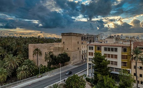 Aves Urbanas de Elche | Medio Ambiente