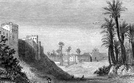 Elche y los Reyes Católicos