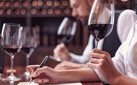 Cómo Organizar Tus Vacaciones de Cata de Vinos